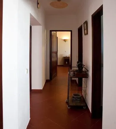 Cozy Algarve With Vineyard View Near Beaches