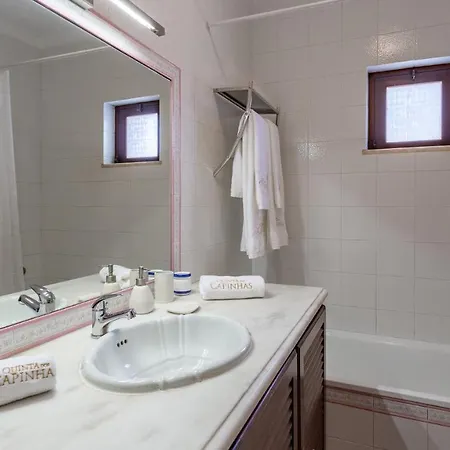 Cozy Algarve With Vineyard View Near Beaches Porches (Algarve)