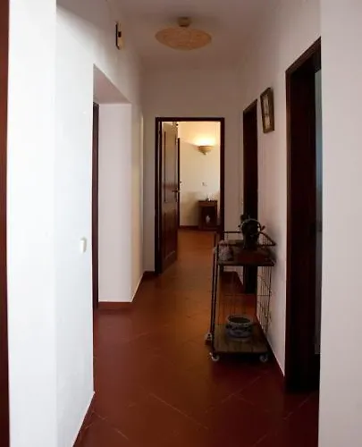 Cozy Algarve With Vineyard View Near Beaches