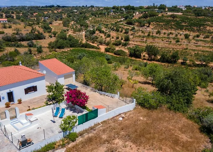 Willa Cozy Algarve With Vineyard View Near Beaches Porches (Algarve)